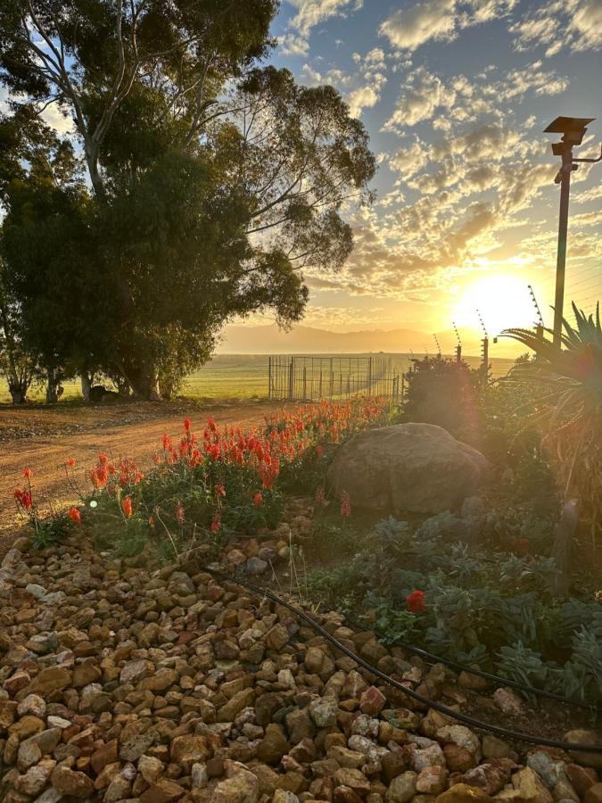 Primo Farm Paarl Exterior foto